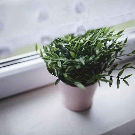 Rabapark- Pod Krakowem Гдув