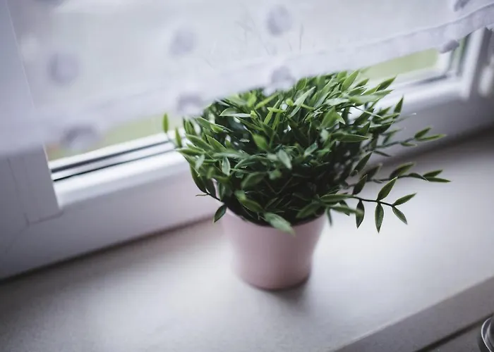 Rabapark- Pod Krakowem Gdów