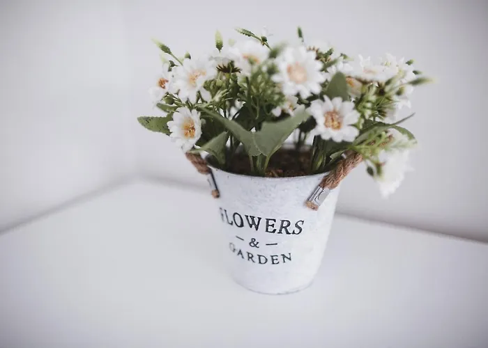 Rabapark- Pod Krakowem Gdów